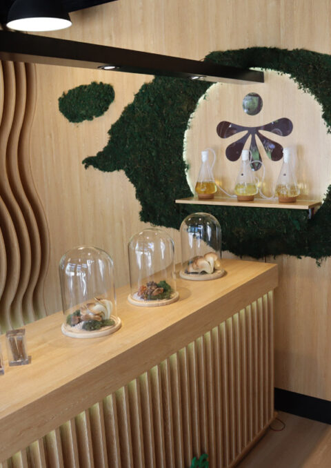 The Story of Infinite Roots®: Revolutionizing Biotech in Hamburg ...