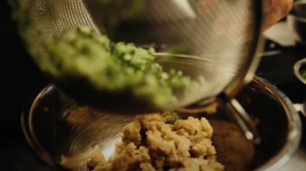 The Revolutionary Role of Mycelium in the Future of Food - Infinite Roots