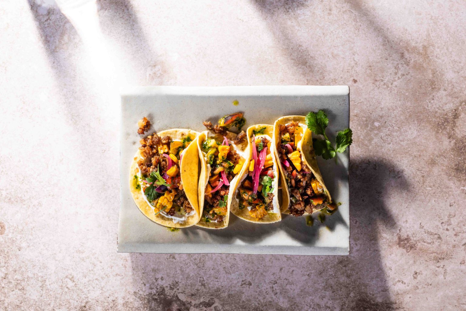 The Revolutionary Role of Mycelium in the Future of Food - Infinite Roots